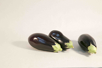 Eggplant
