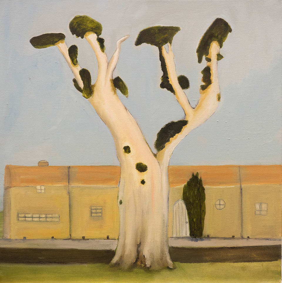 Mildura streetscape 1