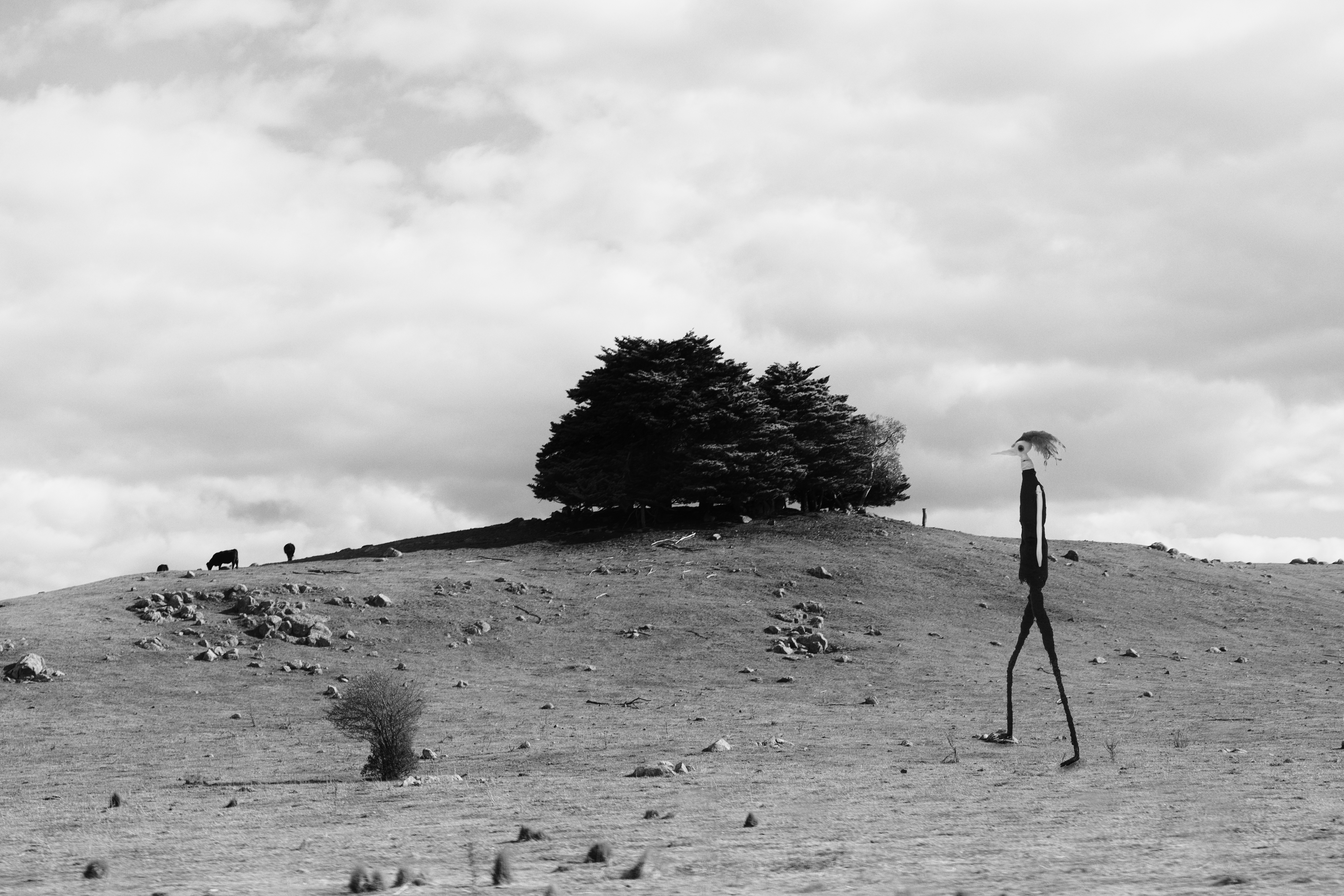 Hilltop digital print